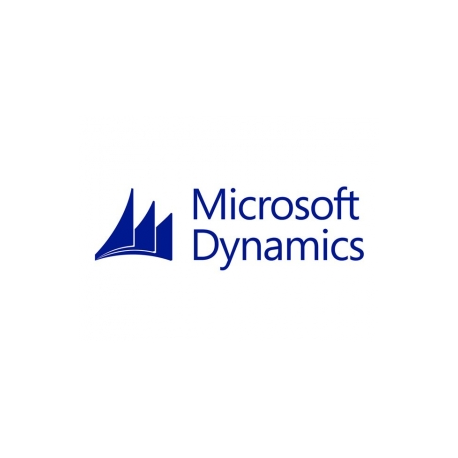 Microsoft Dynamics CRM Online Storage Add-on - Subscription licence (1 month) - 1 user - hosted - GOV - Open Value Subscription - Level D - additional product, Open - All Languages - 1