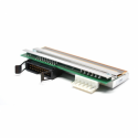 Zebra - 300 dpi - printhead - for Zebra ZT620