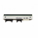 Zebra - 300 dpi - printhead - for Zebra ZD420, ZD620; ZD420 Series ZD420t