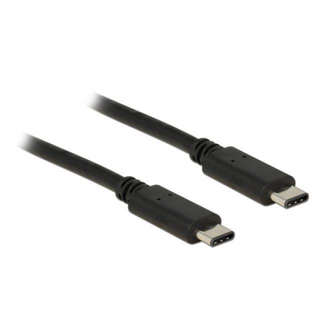 DeLOCK - USB cable - USB-C (M) to USB-C (M) - USB 2.0 - 3 A - 2 m - black - 0