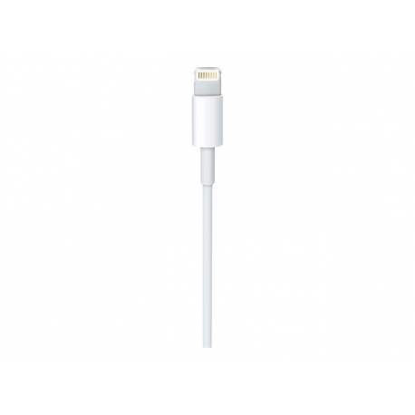 Apple - Lightning cable - Lightning male to USB male - 2 m - for iPad / iPhone / iPod (Lightning) - 1