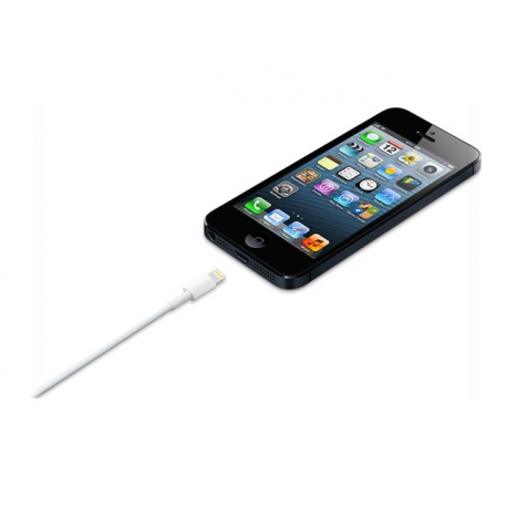 Apple - Lightning cable - Lightning male to USB male - 50 cm - for iPad / iPhone / iPod (Lightning) - 2