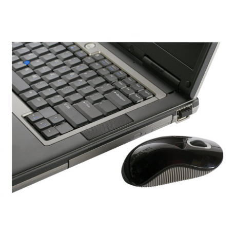 Targus - Mouse - right and left-handed - optical - wireless - 2.4 GHz - USB wireless receiver - black - 3