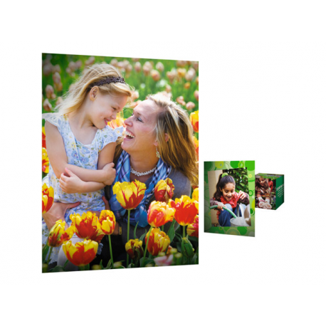 HP Everyday Photo Paper - Glossy - 8 mil - A4 (210 x 297 mm) - 200 g / m² - 25 sheet(s) photo paper - for ENVY 50XX, 76XX; ENVY Inspire 7920; Officejet 52XX, 80XX; Photosmart B110, Wireless B110 - 3