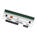 Zebra - 300 dpi - printhead - for GX Series GX430t