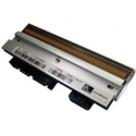 Zebra - 300 dpi - printhead - for Zebra ZD420