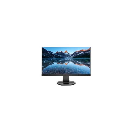 Philips B Line 252B9 - LED monitor - 25" - 1920 x 1200 WUXGA @ 60 Hz - IPS - 300 cd / m² - 1000:1 - 5 ms - HDMI, DVI-D, VGA, DisplayPort - speakers - black texture - 0
