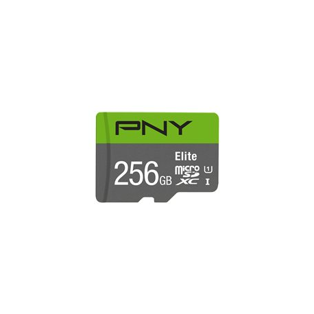 PNY Elite - Flash memory card - 256 GB - A1 / Video Class V10 / UHS Class 1 / Class10 - microSDXC UHS-I - 0