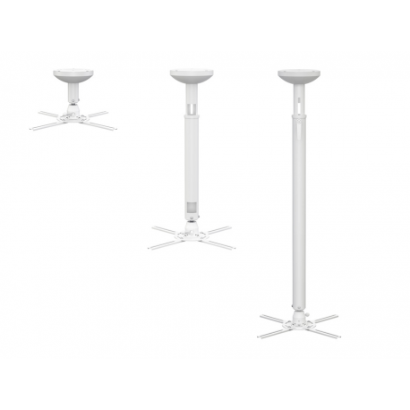 Multibrackets M HD - Bracket - for projector - white - ceiling mountable - 9