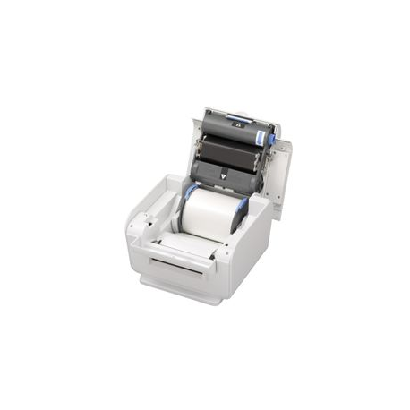 Epson LabelWorks Pro100 - Labelmaker - B / W - direct thermal / thermal transfer - Roll (1 cm) - 300 dpi - up to 20 mm / sec - USB - cutter - green, pale grey - 4