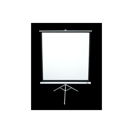 Elite Tripod Series T99NWS1 - Projection screen with tripod - 99" (251 cm) - 1:1 - Matte White - white - 1