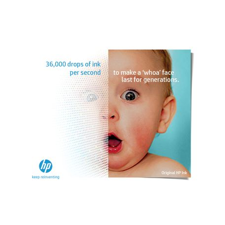 HP 300 - 4 ml - black - original - ink cartridge - for Deskjet D2680, F2420, F2430, F4213, F4580; Envy 100 D410, 11X D411, 120; Photosmart C4670 - 4