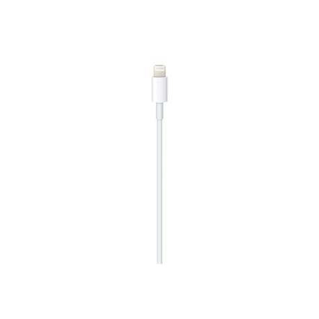 Apple USB-C to Lightning Cable - Lightning cable - USB-C male to Lightning male - 1 m - for iPad / iPhone / iPod (Lightning) - 2