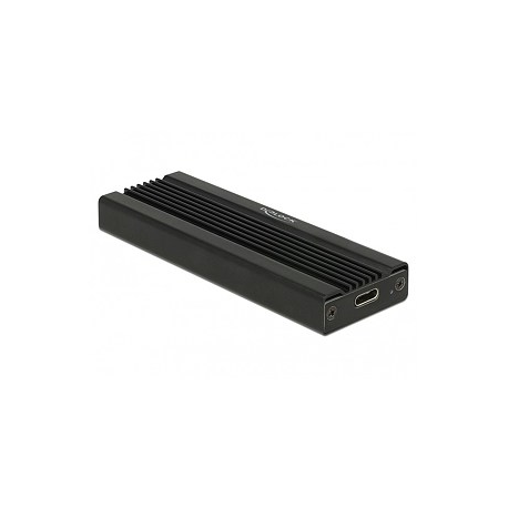 DeLOCK - Storage enclosure - M.2 Card - USB 3.1 (Gen 2) - black - 2