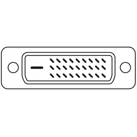 ASSMANN - DisplayPort adapter - dual link - DisplayPort (M) to DVI-D (M) - 1 m - 1