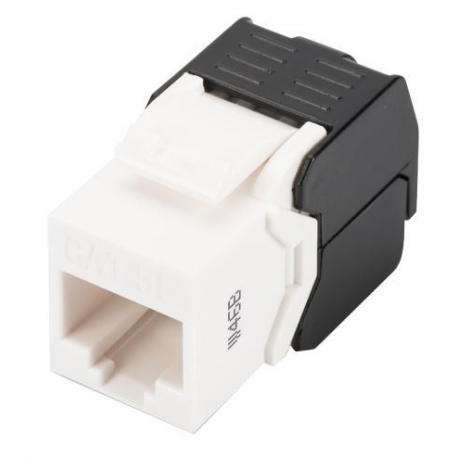 DIGITUS DN-93502 - Modular insert - CAT 5e - UTP - RJ-45 - 2
