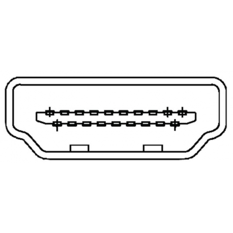 ASSMANN HDMI High Speed with Ethernet - HDMI cable with Ethernet - HDMI male to HDMI male - 20 m - double shielded - black - 1