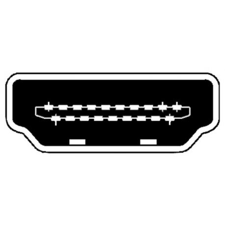ASSMANN DisplayPort Adapter - Adapter - DisplayPort male to HDMI female - 15 cm - double shielded - black - 3