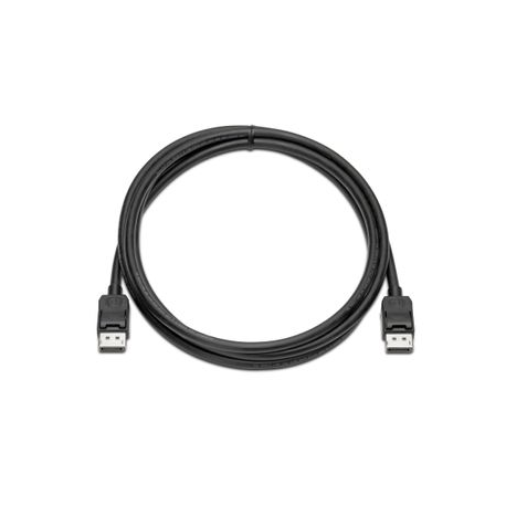 HP - Display cable kit - DisplayPort (M) to DisplayPort (M) - 2 m - for HP Z1 G9; Elite 600 G9, 800 G9, Mini Conference G9; EliteDesk 80X G8; ProOne 440 G9 - 1