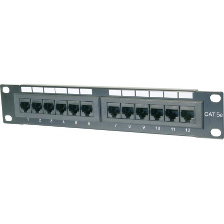 DIGITUS Professional - Patch panel - CAT 5e - UTP - RJ-45 X 12 - 1U - 10" - 2