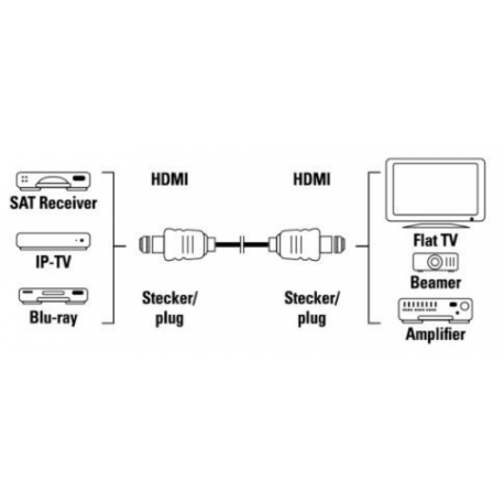 Delock High Speed HDMI with Ethernet - HDMI extension cable - HDMI male to HDMI female - 5 m - 1