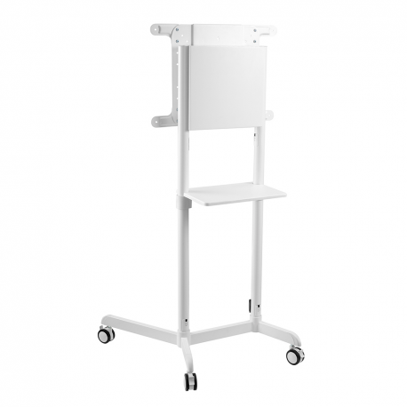 Neomounts by Newstar NS-M1250 - Cart - for flat panel - white - screen size: 37"-70" - 28