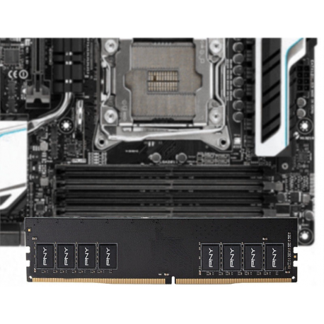 PNY - DDR4 - module - 4 GB - DIMM 288-pin - 2666 MHz / PC4-21300 - CL19 - 1.2 V - unbuffered - non-ECC - 2