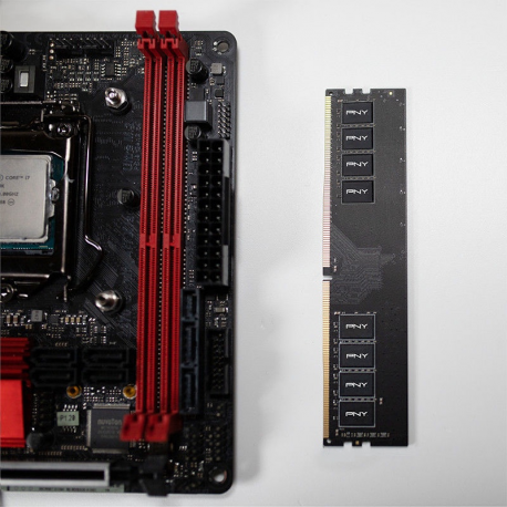 PNY - DDR4 - module - 4 GB - DIMM 288-pin - 2666 MHz / PC4-21300 - CL19 - 1.2 V - unbuffered - non-ECC - 3