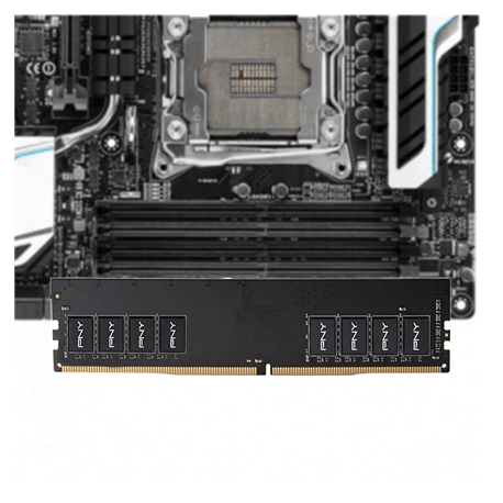 PNY - DDR4 - module - 4 GB - DIMM 288-pin - 2666 MHz / PC4-21300 - CL19 - 1.2 V - unbuffered - non-ECC - 8