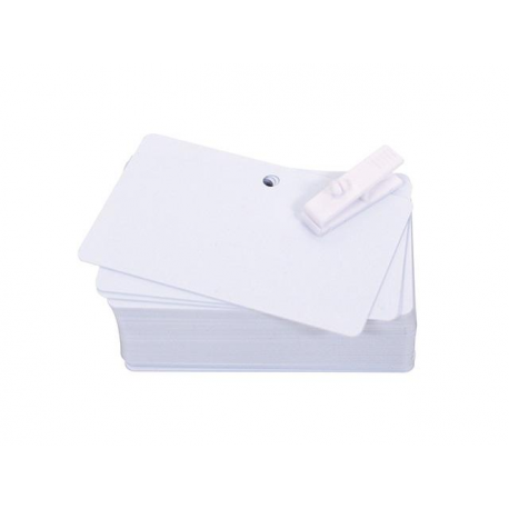 Evolis PVC Blank Pre-Punched Cards - Polyvinyl chloride (PVC) - 20 mil - 100 card(s) cards - 3