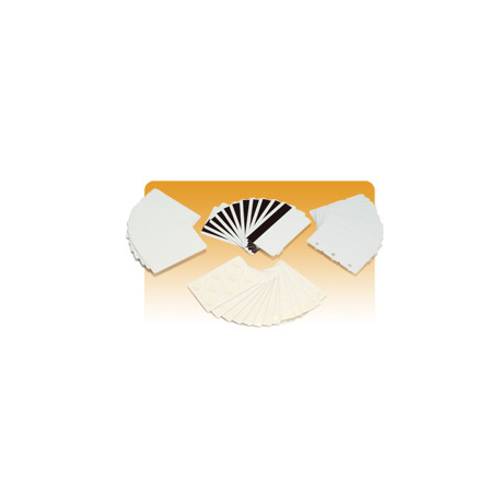 Zebra Premier - Mylar-backed polyvinyl chloride (PVC) - adhesive - 10 mil - 100 pcs. cards (pack of 5) - for Zebra P310F, P310i, P320i, P330i, P330m, P420i, P430i - 1