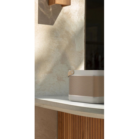 Bang & Olufsen Beolit 20 - Speaker - for portable use - wireless - Bluetooth - 70 Watt - 2-way - grey mist - 11