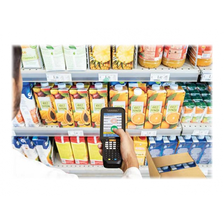 Datalogic Skorpio X5 - Data collection terminal - rugged - Android 10 - 32 GB - 4.3" colour TFT (800 x 480) - rear camera - barcode reader - (2D imager) - USB host - microSD slot - Wi-Fi, NFC, Bluetooth - 2