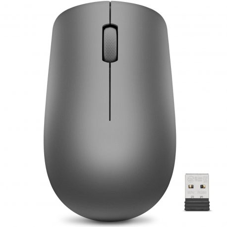 Lenovo 530 Wireless Mouse - Mouse - right and left-handed - optical - 3 buttons - wireless - 2.4 GHz - USB wireless receiver - graphite - for ThinkCentre M80t Gen 3; ThinkCentre neo 50; ThinkPad T14s Gen 3; V50t Gen 2-13 - 0