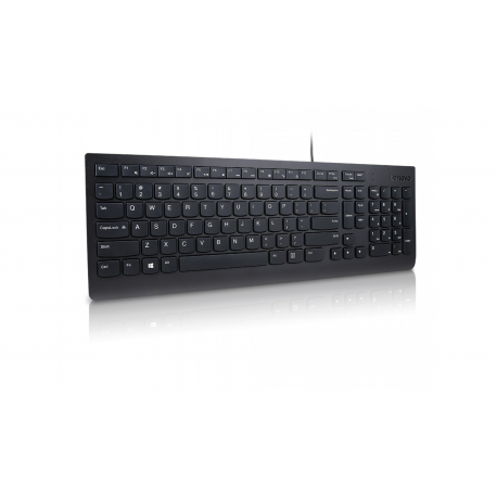 Lenovo Essential - Keyboard - USB - US with Euro symbol - black - for IdeaPad 3 14; 3 15IML05; ThinkPad L13 Gen 2; Yoga 7 14; Yoga Slim 7 Pro 14ACH5 OD - 4