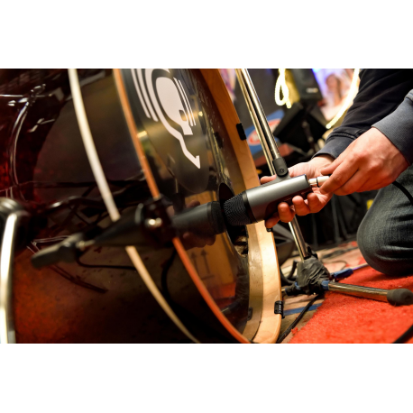 Sennheiser Evolution e 602-II - Microphone - 2