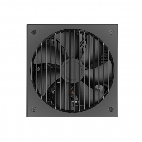 Fractal Design Ion Gold - Power supply (internal) - ATX12V 2.52 /  EPS12V 2.92 - 80 PLUS Gold - AC 100-240 V - 750 Watt - Europe - black - 18