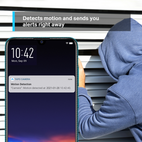 Tapo C210 V1 - Network surveillance camera - pan  /  tilt - colour (Day&Night) - audio - wireless - Wi-Fi - 2