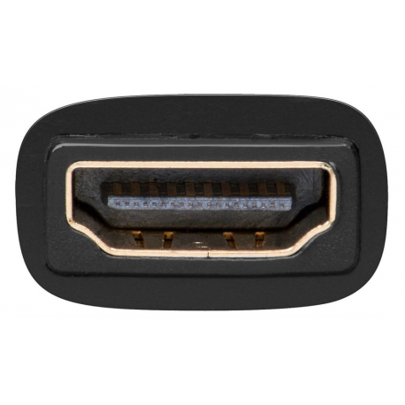 goobay A 333 G - Video adapter - HDMI (F) to DVI-D (M) - 1