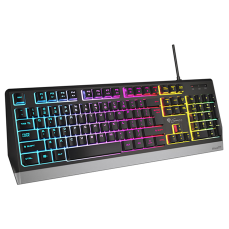 Genesis Rhod Series 300 RGB - Keyboard - backlit - USB - QWERTY - US - black - 4