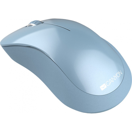 Canyon MW-11 - Mouse - right-handed - optical - 3 buttons - wireless - 2.4 GHz - USB wireless receiver - niagara - 2