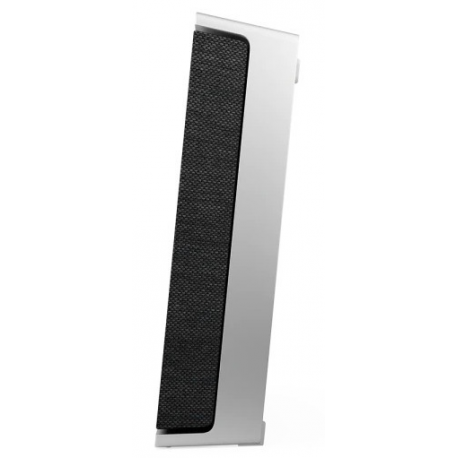 Bang & Olufsen BeoSound Level - Smart speaker - Ethernet, Fast Ethernet, Wi-Fi, Bluetooth - App-controlled - 105 Watt - natural (grille colour - dark grey) - 5