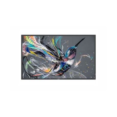 Philips 43BDL3511Q - 43" Diagonal Class (42.5" viewable) - Q-Line LED-backlit LCD display - digital signage - 4K UHD (2160p) 3840 x 2160 - 0