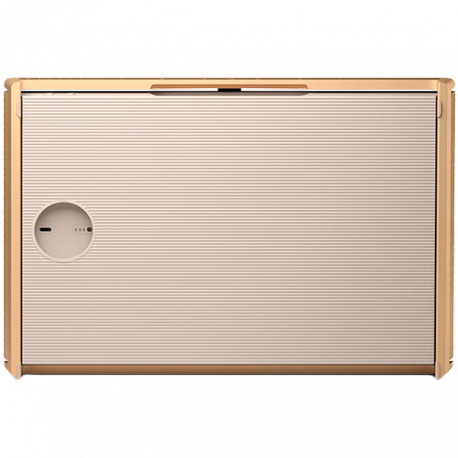 Bang & Olufsen BeoSound Level - Speaker - for portable use - wireless - Ethernet, Fast Ethernet, Wi-Fi, Bluetooth - App-controlled - 105 Watt - 3-way - gold tone (grille colour - light oak) - 1