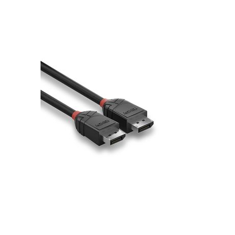Lindy Black Line - DisplayPort cable - DisplayPort (M) to DisplayPort (M) - DisplayPort 1.2 - 1 m - black - 2