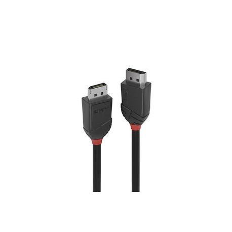 Lindy Black Line - DisplayPort cable - DisplayPort (M) to DisplayPort (M) - DisplayPort 1.2 - 2 m - black - 0