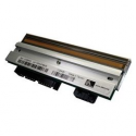 Zebra - Printhead (direct thermal) (pack of 10)