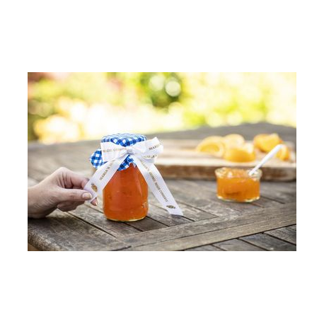 Brother TZe-R254 - Glossy - gold on white - Roll (2.4 cm x 4 m) 1 cassette(s) ribbon tape - for PT2430PC, PT2730, PT2730VP, PT9600, PTD600, PTD600VP, PTD800W, PTH500LI, PTP700, PTP710BT, PTP750W - 4