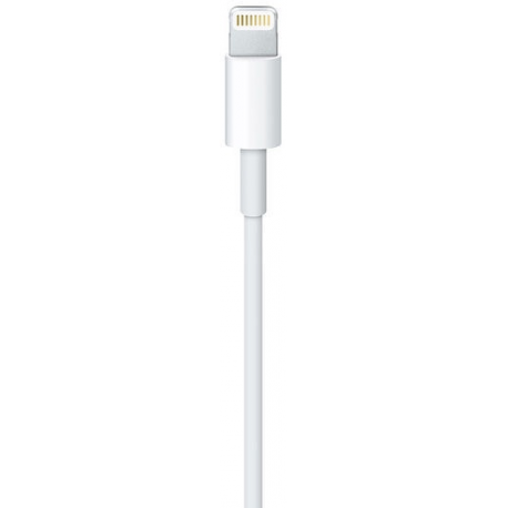 MicroConnect - Lightning cable - Lightning male to USB male - 1 m - for Apple iPad / iPhone / iPod (Lightning) - 3