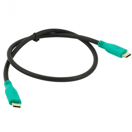 Ram GDS - USB cable - USB-C (M) to USB-C (M) - USB 3.1 - 50 cm - 0